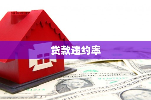 石城贷款违约率