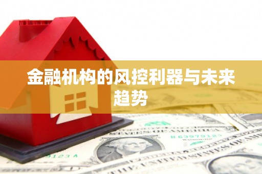 石城金融机构的风控利器与未来趋势