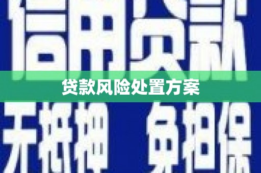 石城贷款风险处置方案