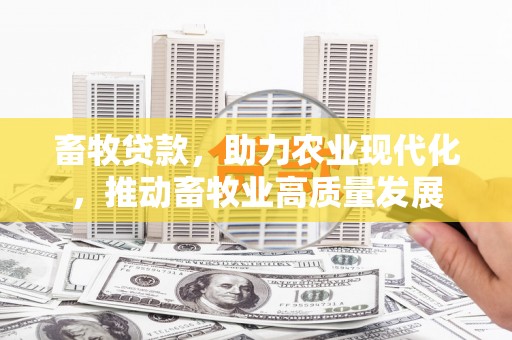 石城畜牧贷款，助力农业现代化，推动畜牧业高质量发展