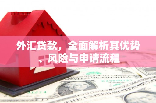 石城外汇贷款，全面解析其优势、风险与申请流程