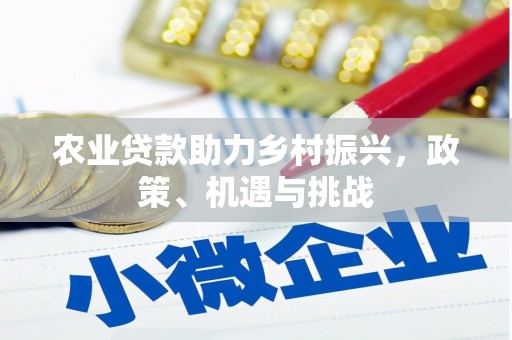 石城农业贷款助力乡村振兴，政策、机遇与挑战