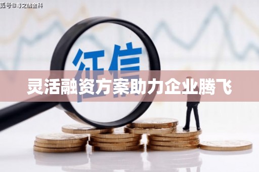 石城灵活融资方案助力企业腾飞