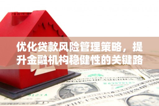 石城优化贷款风险管理策略，提升金融机构稳健性的关键路径