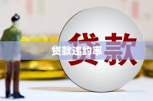 石城贷款违约率