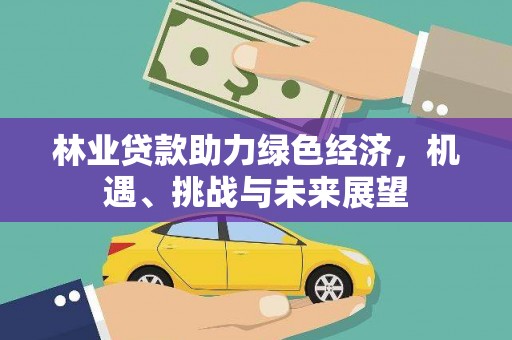 石城林业贷款助力绿色经济，机遇、挑战与未来展望