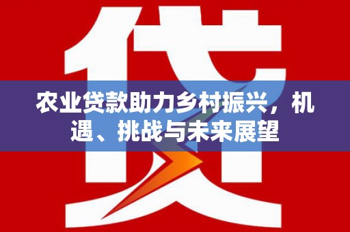 石城农业贷款助力乡村振兴，机遇、挑战与未来展望