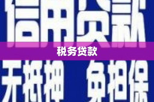 石城税务贷款