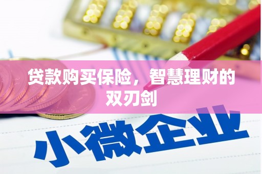 石城贷款购买保险，智慧理财的双刃剑