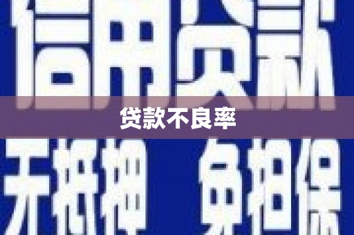 石城贷款不良率