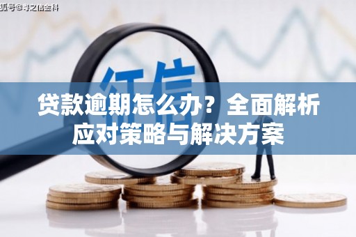 石城贷款逾期怎么办？全面解析应对策略与解决方案