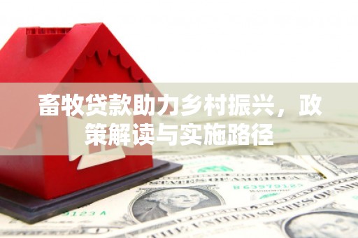 石城畜牧贷款助力乡村振兴，政策解读与实施路径