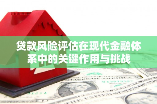 石城贷款风险评估在现代金融体系中的关键作用与挑战