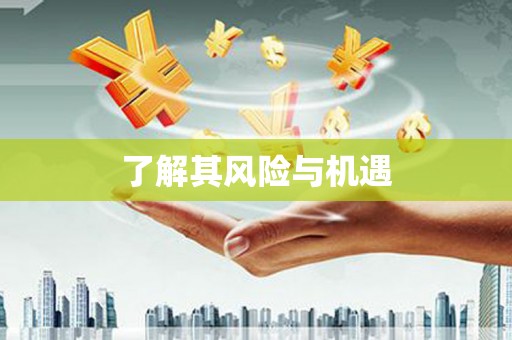 石城了解其风险与机遇