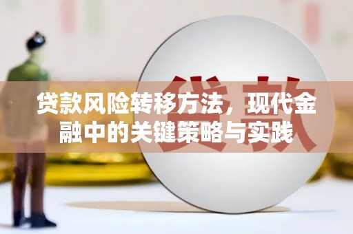 石城贷款风险转移方法，现代金融中的关键策略与实践