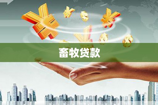 石城畜牧贷款