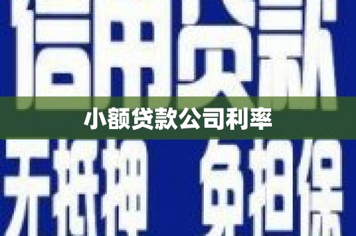 石城小额贷款公司利率