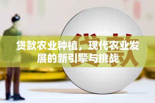 石城贷款农业种植，现代农业发展的新引擎与挑战