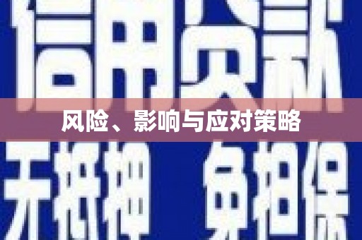 石城风险、影响与应对策略