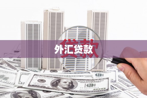 石城外汇贷款