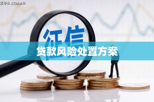 石城贷款风险处置方案