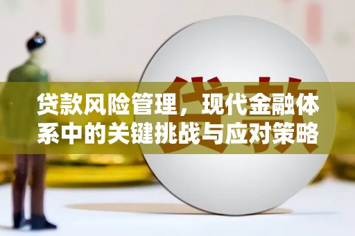 石城贷款风险管理，现代金融体系中的关键挑战与应对策略