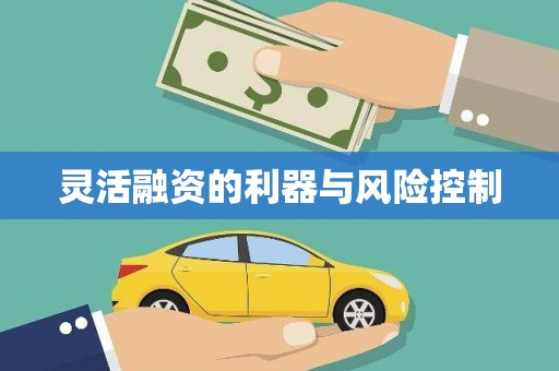 石城灵活融资的利器与风险控制