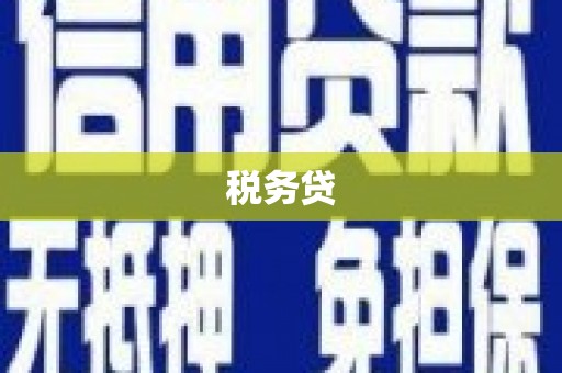 石城税务贷