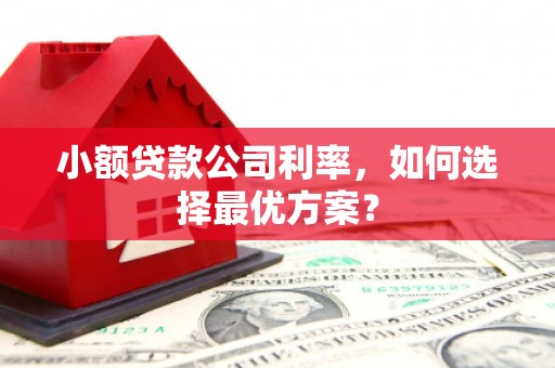 石城小额贷款公司利率，如何选择最优方案？