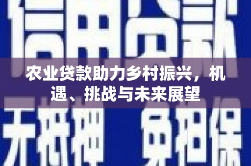 石城农业贷款助力乡村振兴，机遇、挑战与未来展望