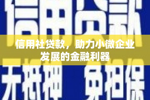 石城信用社贷款，助力小微企业发展的金融利器