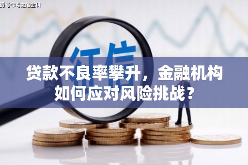 石城贷款不良率攀升，金融机构如何应对风险挑战？