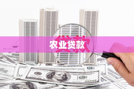 石城农业贷款
