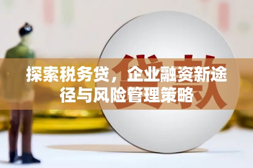 石城探索税务贷，企业融资新途径与风险管理策略