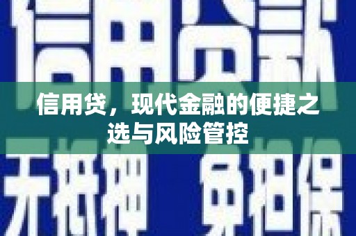 石城信用贷，现代金融的便捷之选与风险管控
