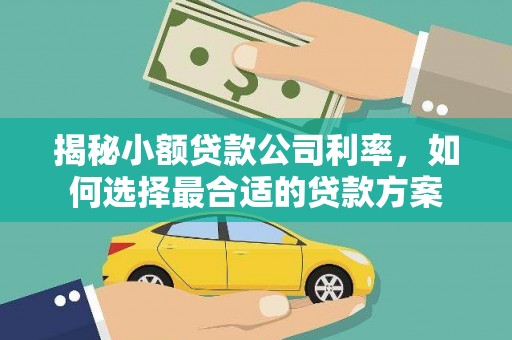 石城揭秘小额贷款公司利率，如何选择最合适的贷款方案