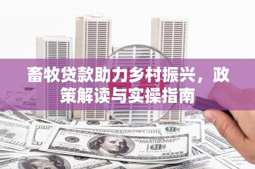 石城畜牧贷款助力乡村振兴，政策解读与实操指南