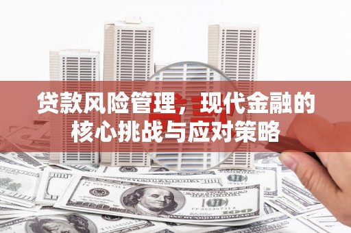 石城贷款风险管理，现代金融的核心挑战与应对策略