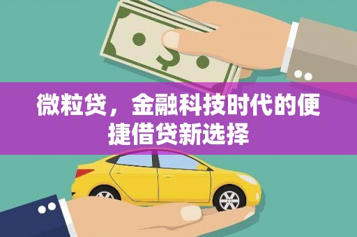 石城微粒贷，金融科技时代的便捷借贷新选择