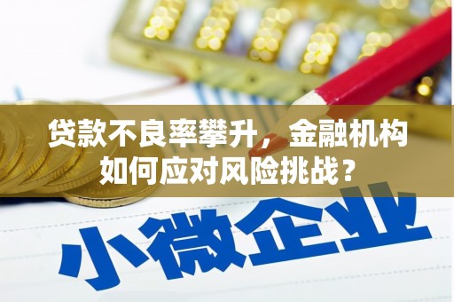 石城贷款不良率攀升，金融机构如何应对风险挑战？