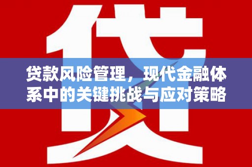 石城贷款风险管理，现代金融体系中的关键挑战与应对策略