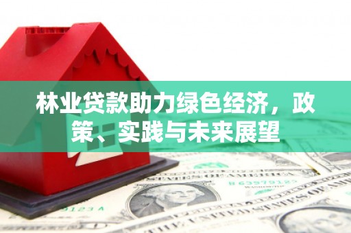 石城林业贷款助力绿色经济，政策、实践与未来展望