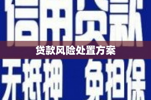 石城贷款风险处置方案