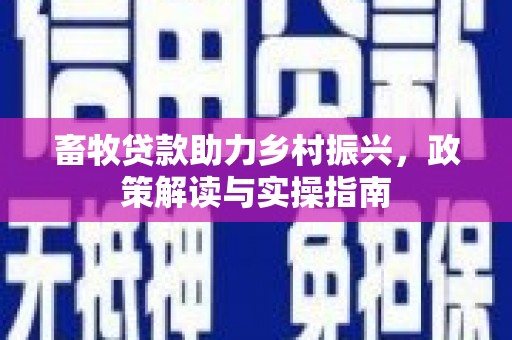 石城畜牧贷款助力乡村振兴，政策解读与实操指南